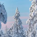 Yllaes Sivulantie 4 203 By In Lapland Apartment